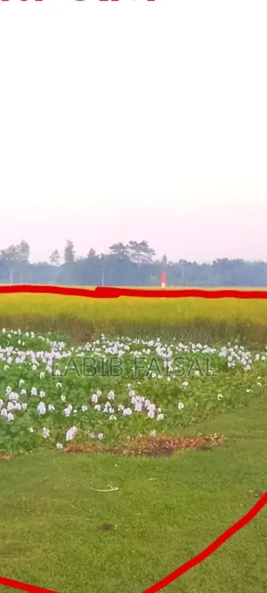 Land for sale