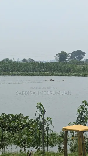 চটপটির দোকান
