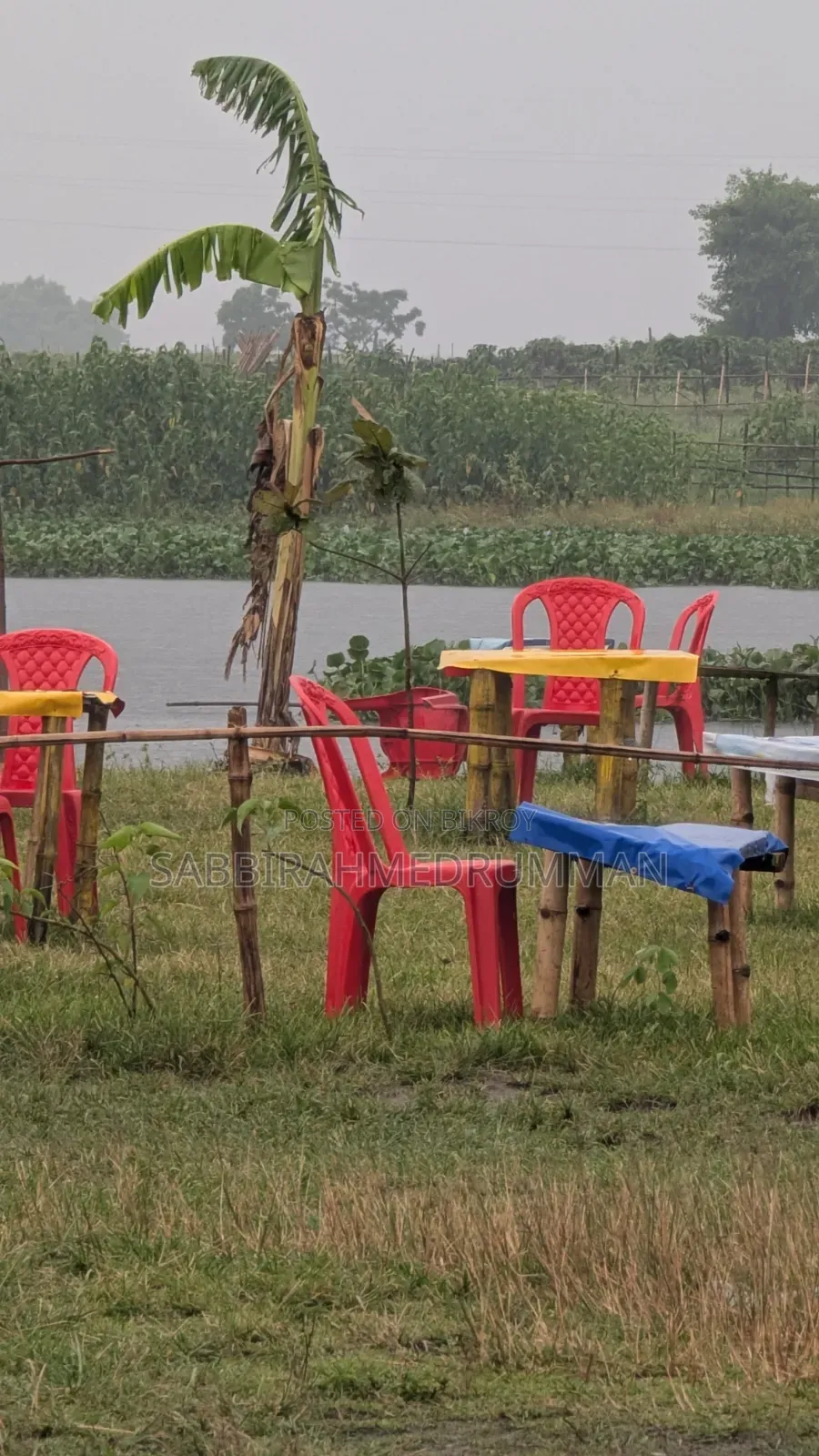 চটপটির দোকান