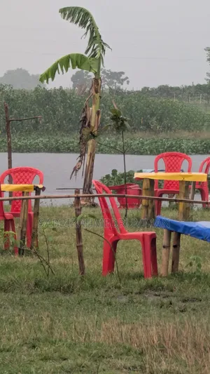 চটপটির দোকান