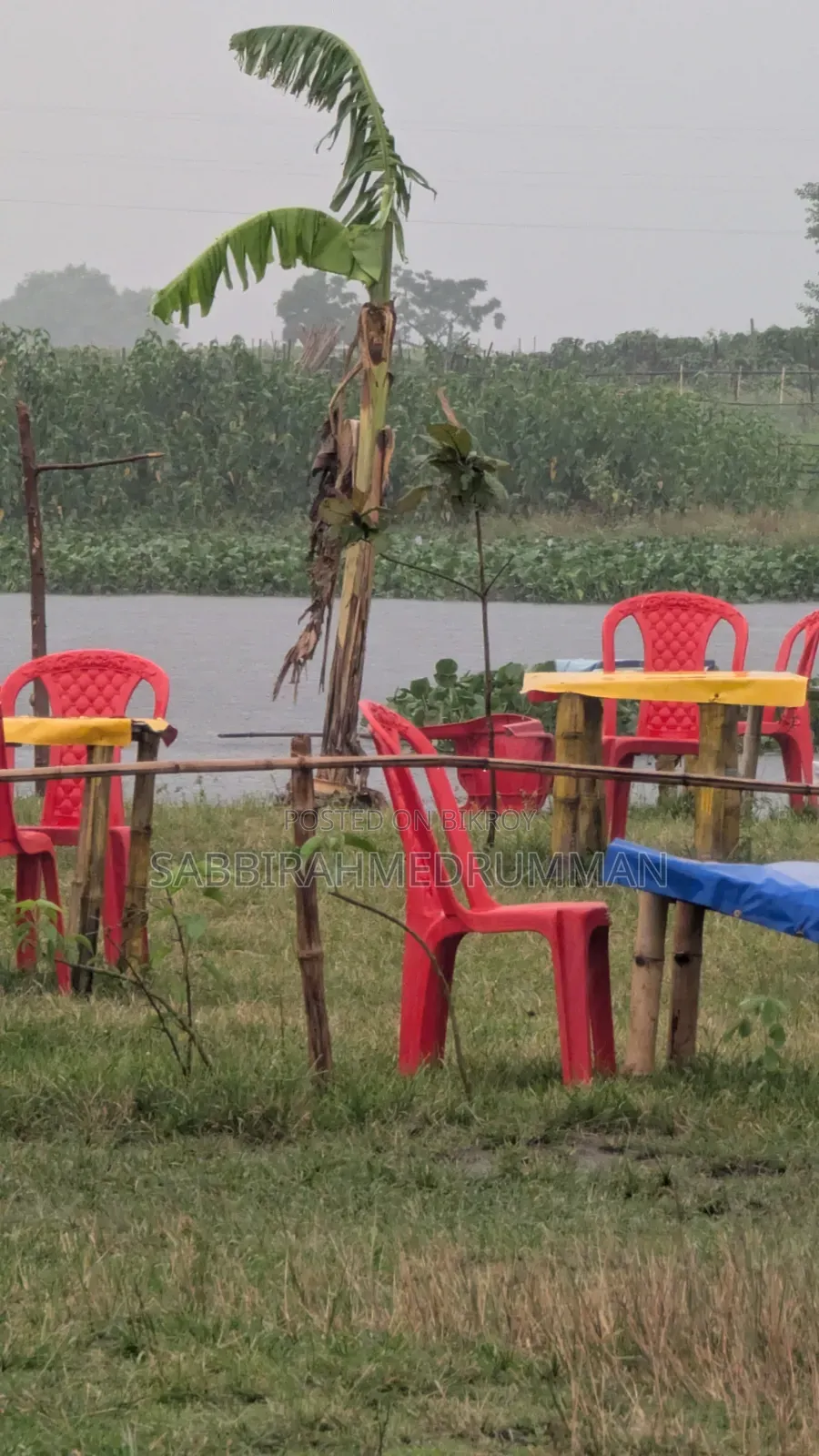 চটপটির দোকান