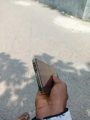 অ্যাপল আইফোন ১৩ প্রো ম্যাক্স ২৫৬ জিবি রোজ গোল্ড