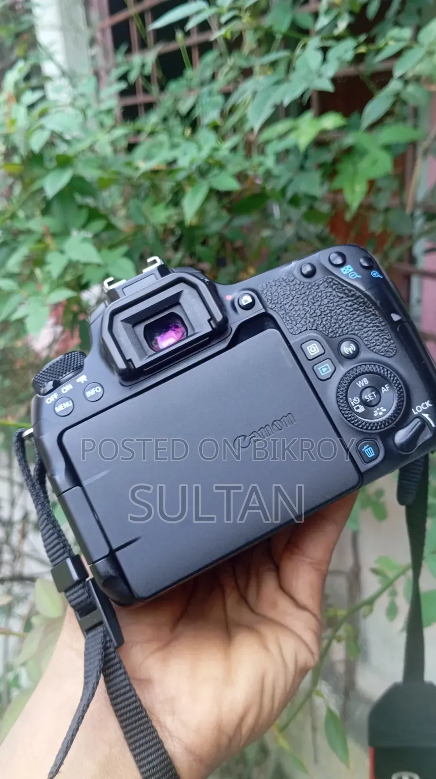 Canon 77d Body