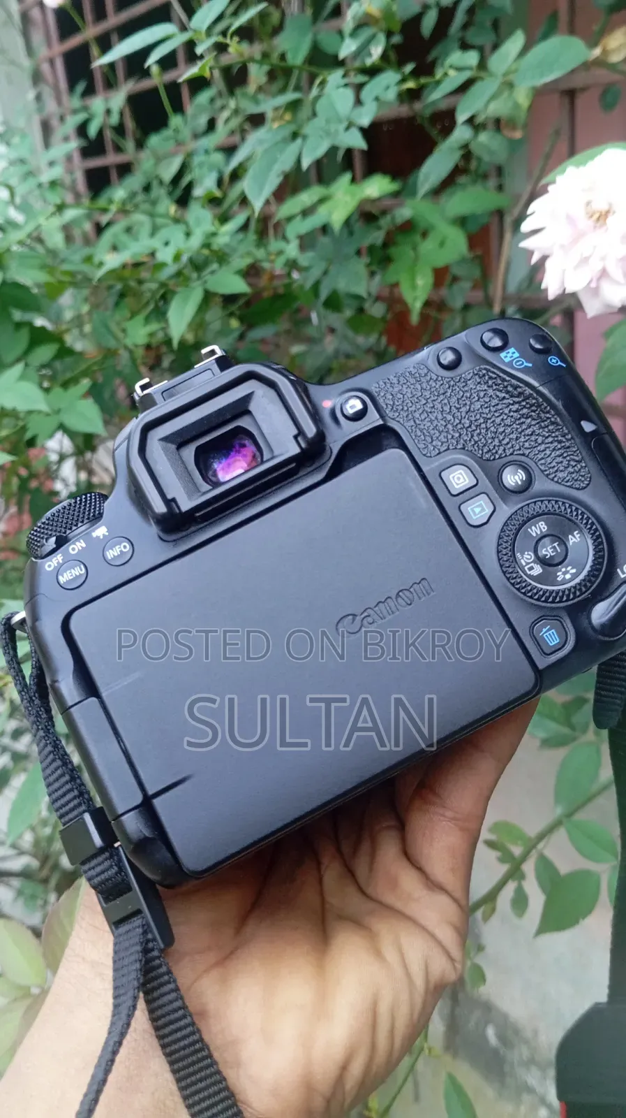Canon 77d Body
