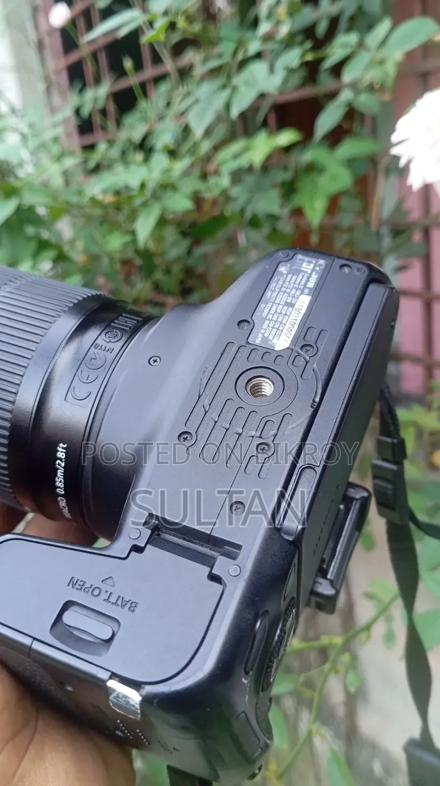 Canon 77d Body