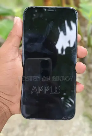 Apple iPhone 12 Pro Max 512 GB Green
