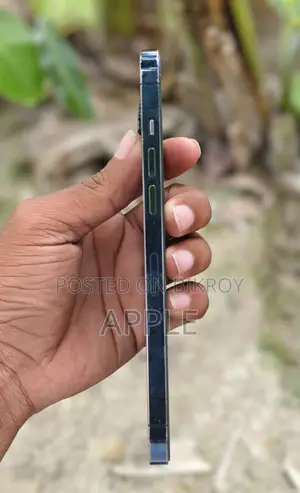 Apple iPhone 12 Pro Max 512 GB Green