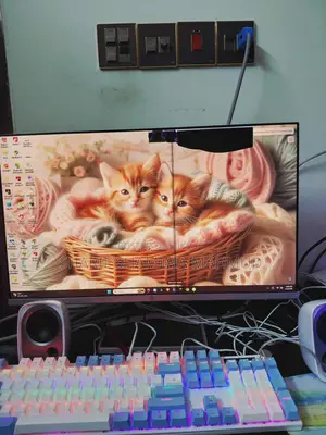 Only 7 Days Used HP Monitor