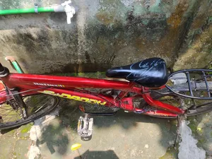 Reflex Cycle