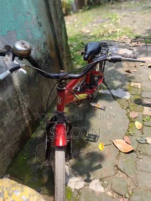 Reflex Cycle
