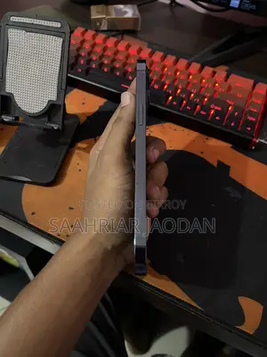 অ্যাপল আইফোন ১২ প্রো ম্যাক্স ২৫৬ জিবি ব্লু