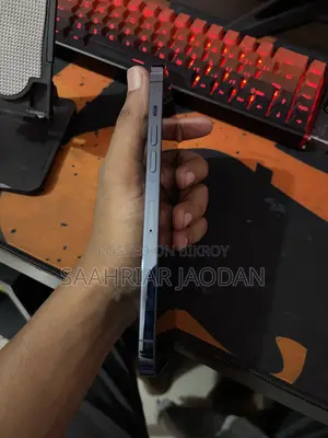অ্যাপল আইফোন ১২ প্রো ম্যাক্স ২৫৬ জিবি ব্লু