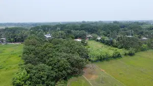 DJI Mavic Mini
