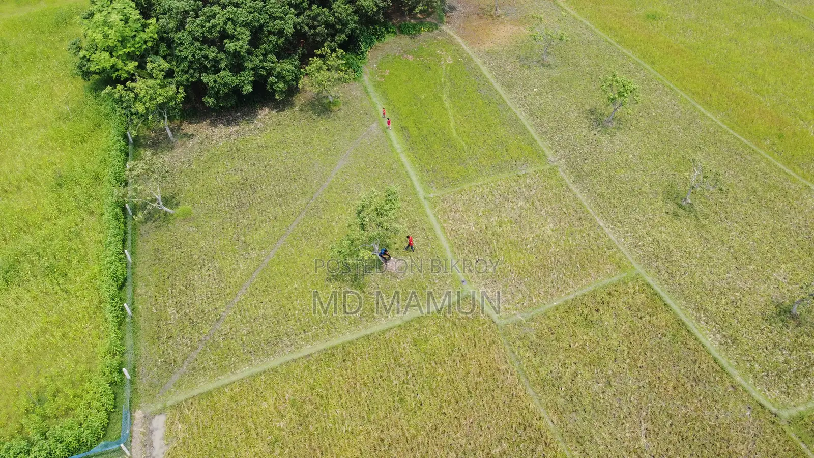 DJI Mavic Mini