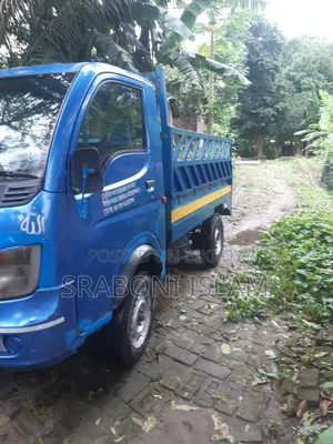 Mini Truck