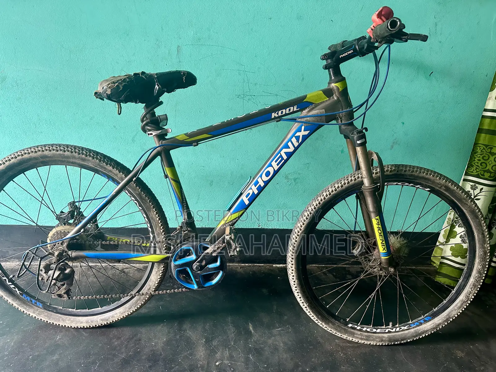 Phoenix Alloy Bicycles
