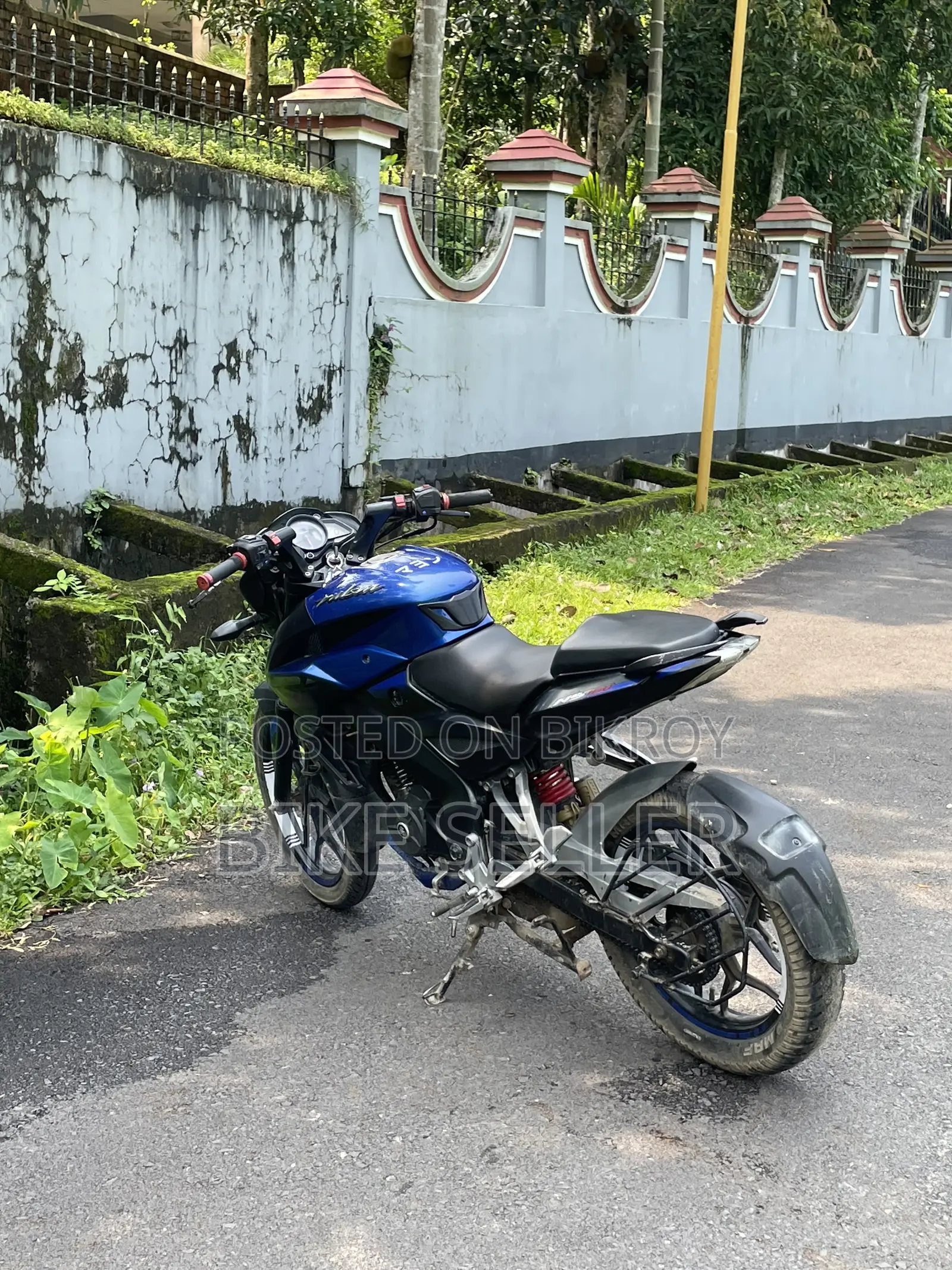 Bajaj Pulsar NS 160 2019 Blue