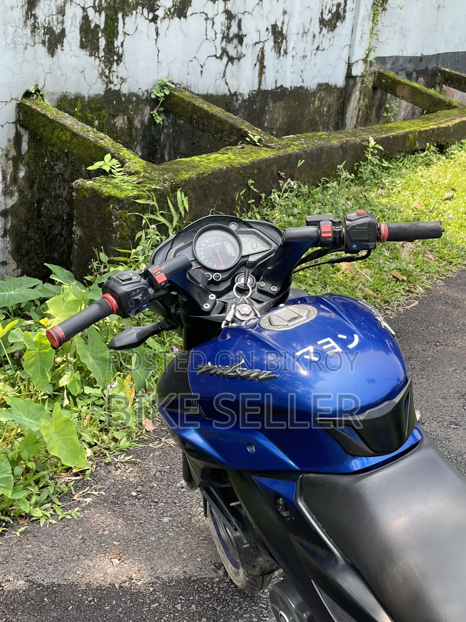 Bajaj Pulsar NS 160 2019 Blue