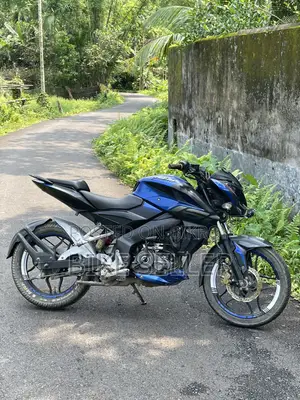 Bajaj Pulsar NS 160 2019 Blue