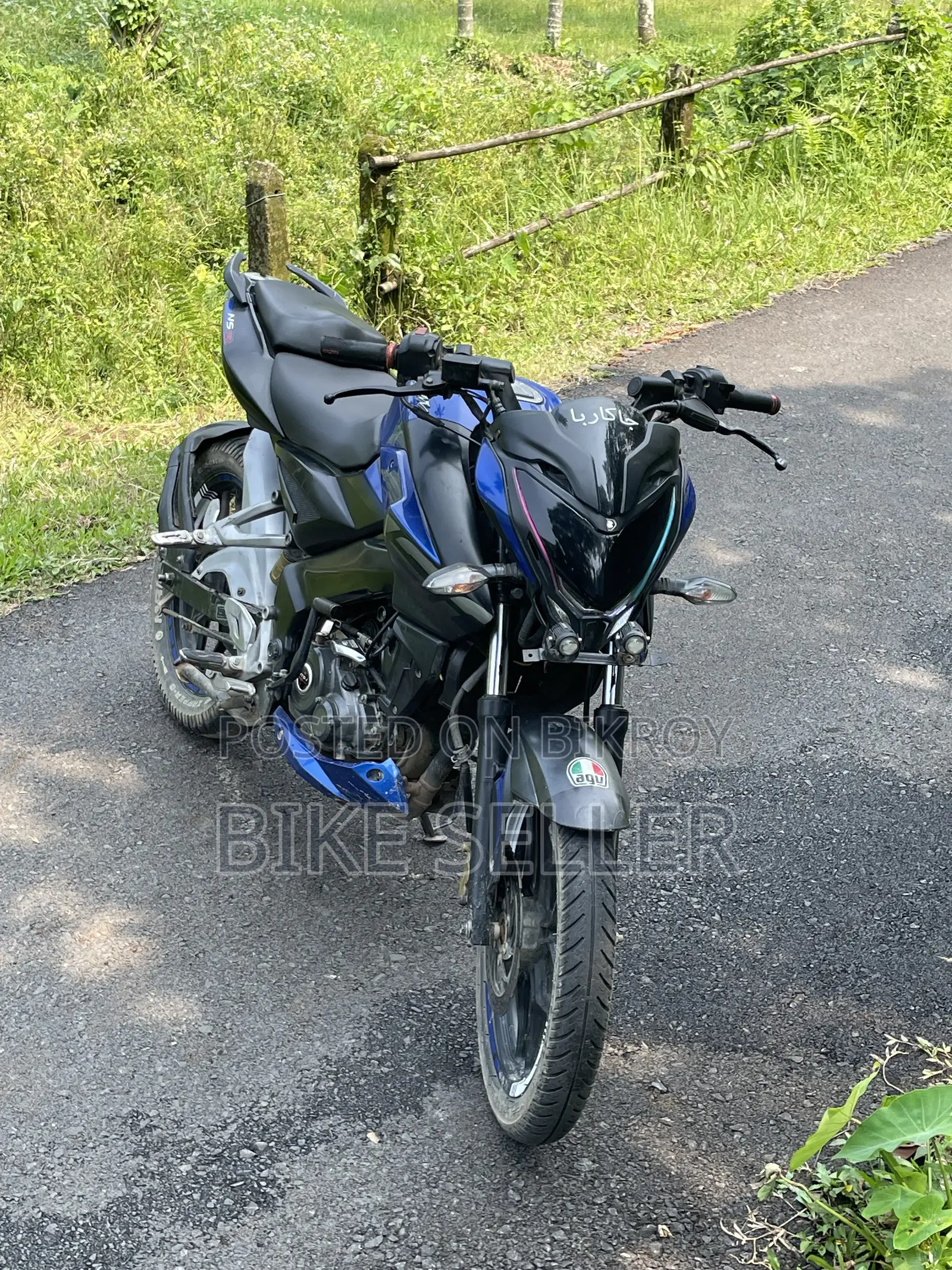 Bajaj Pulsar NS 160 2019 Blue