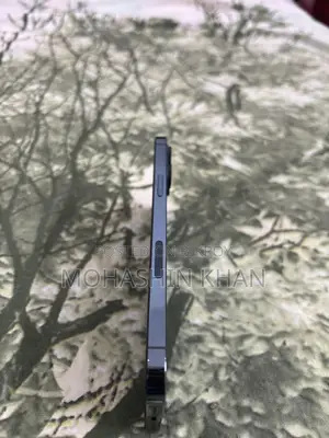 Apple iPhone 12 Pro Max 256 GB Purple