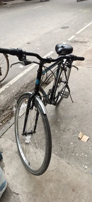 Coyote Bicycle