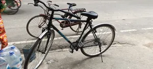Coyote Bicycle