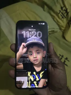 অ্যাপল আইফোন ১৩ প্রো ম্যাক্স ২৫৬ জিবি গ্রে