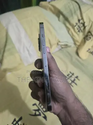 অ্যাপল আইফোন ১৩ প্রো ম্যাক্স ২৫৬ জিবি গ্রে