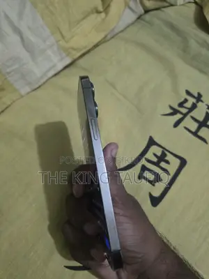 অ্যাপল আইফোন ১৩ প্রো ম্যাক্স ২৫৬ জিবি গ্রে