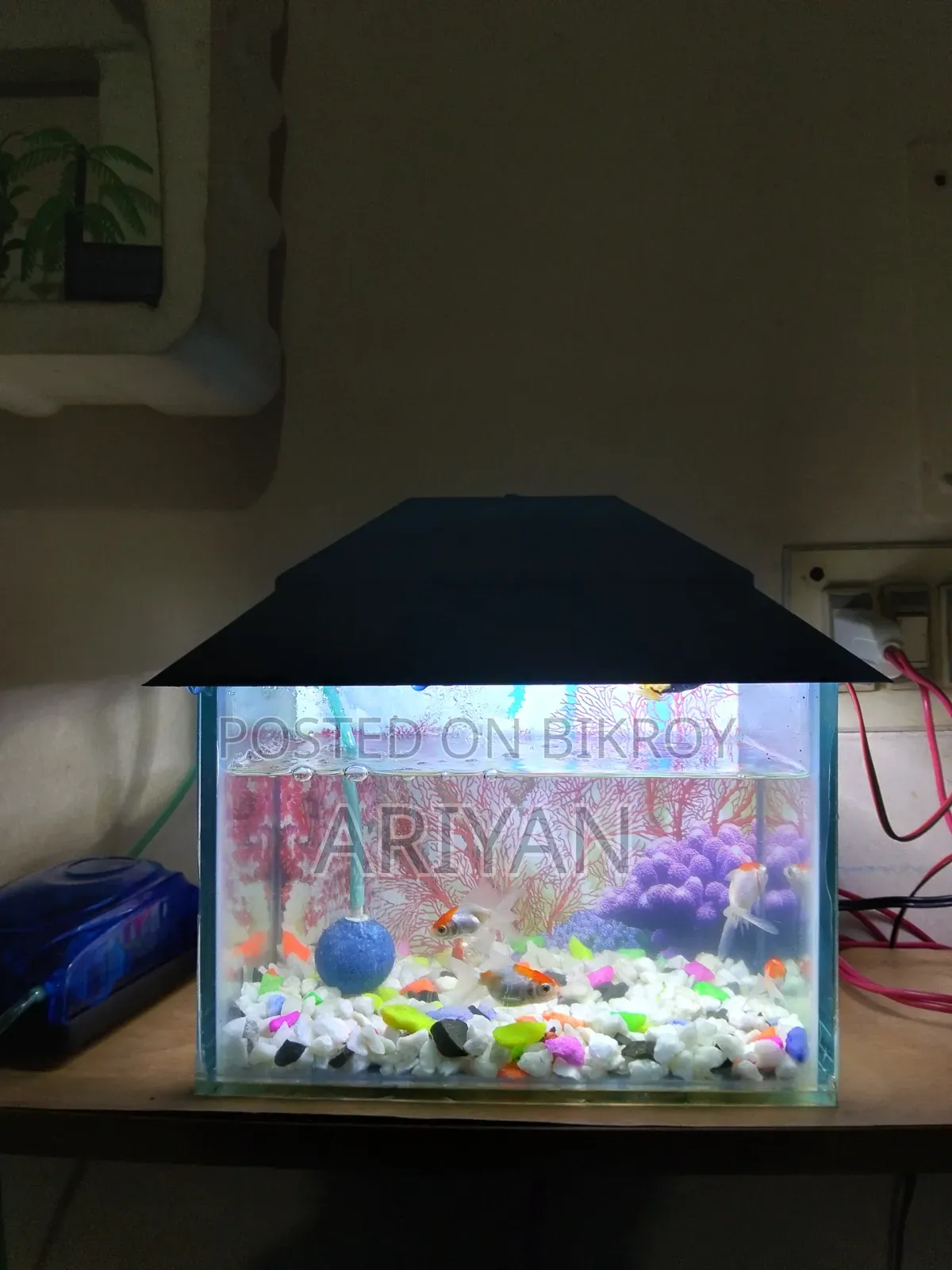 Aquarium Sell