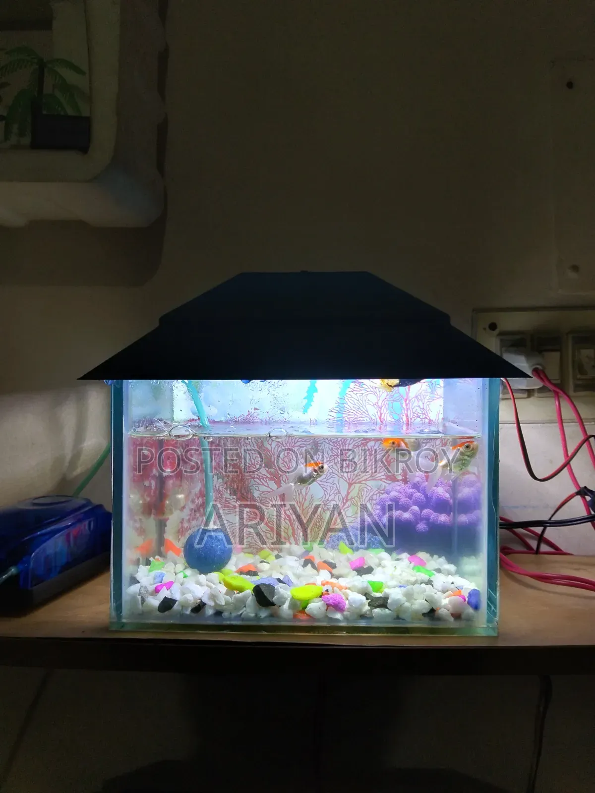 Aquarium Sell