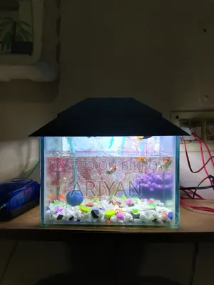 Aquarium Sell