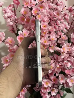 Apple iPhone 16 Pro Max 256 GB White