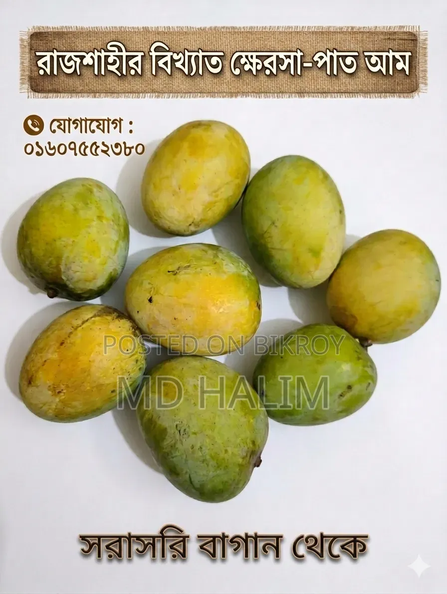 রাজশাহীর বিখ্যাত ক্ষেরসা-পাত আম