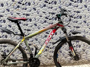 Phoenix Gear Cycle