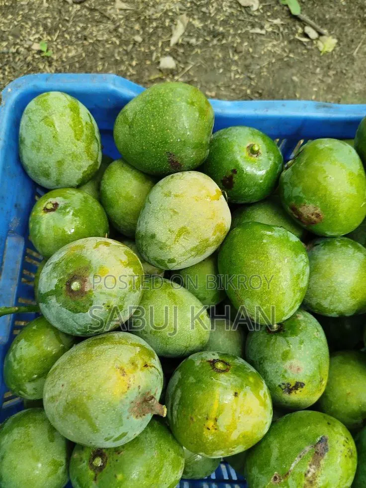Fresh Ripe Mangoes from the Garden