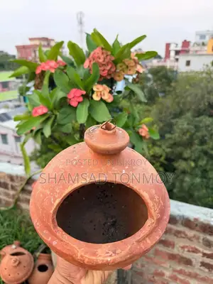 Clay pot sales post for pigeons and pet birds