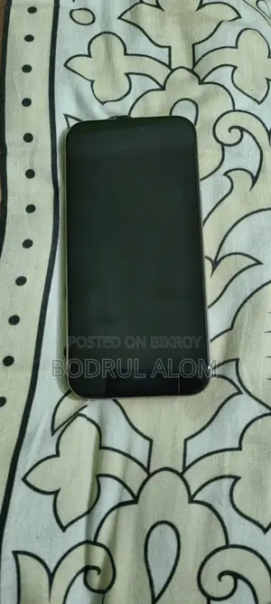 অ্যাপল আইফোন ১৬ প্রো ম্যাক্স ২৫৬ জিবি