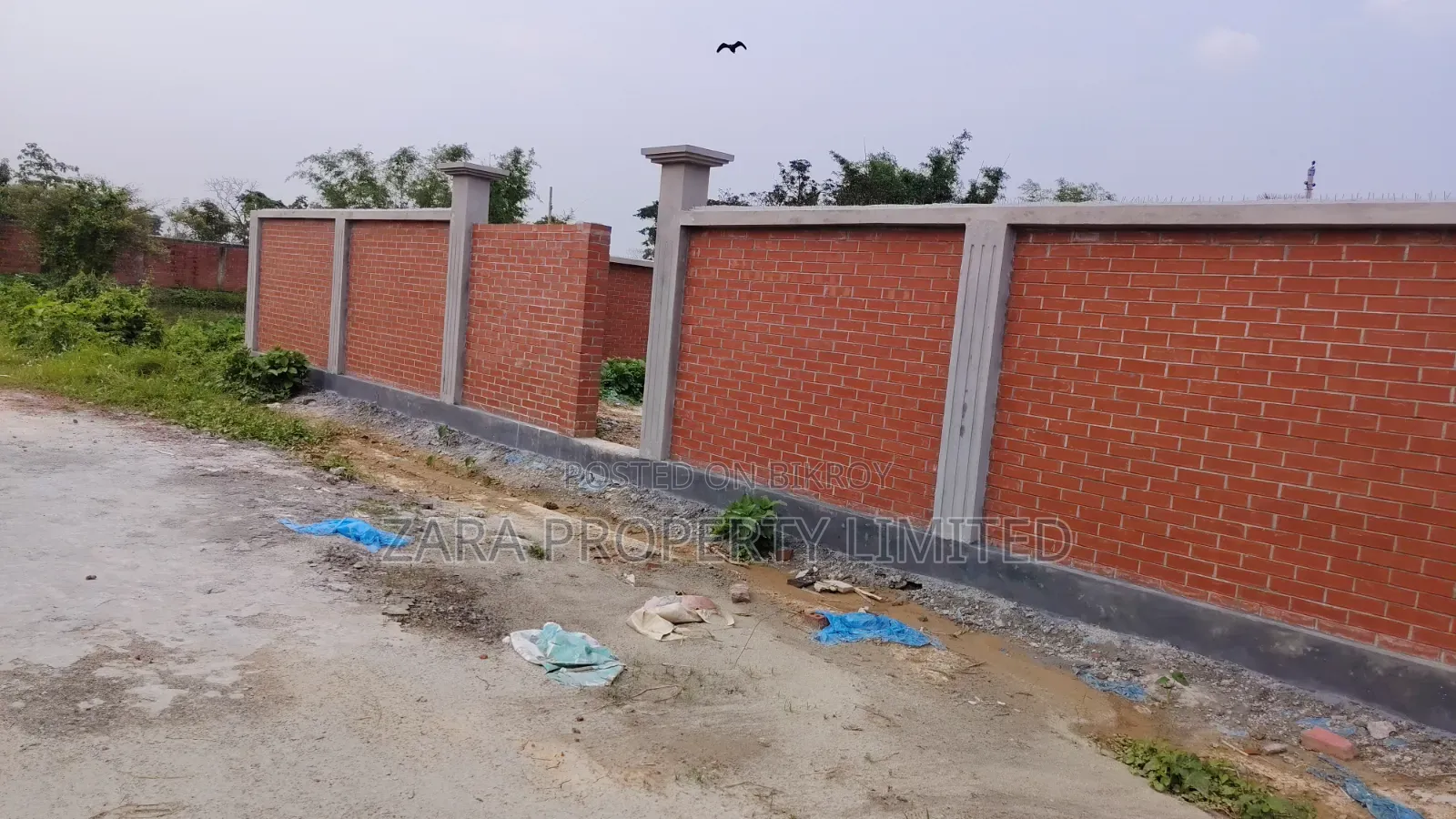 Corner 3 Katha plot in Sector 9, near 300 Feet Road.