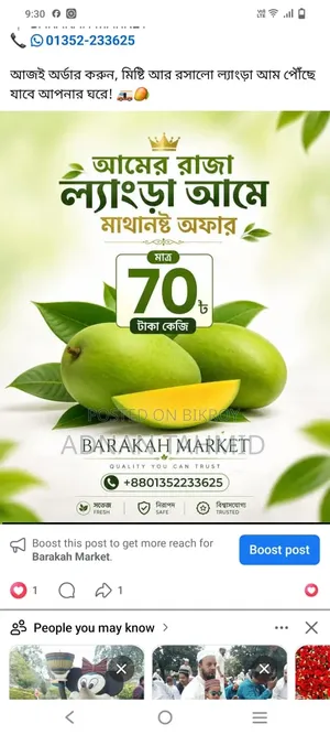 আমের রাজা ল্যাংড়া আম