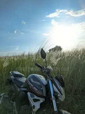 Yamaha 2016