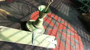 Jamuna Fan