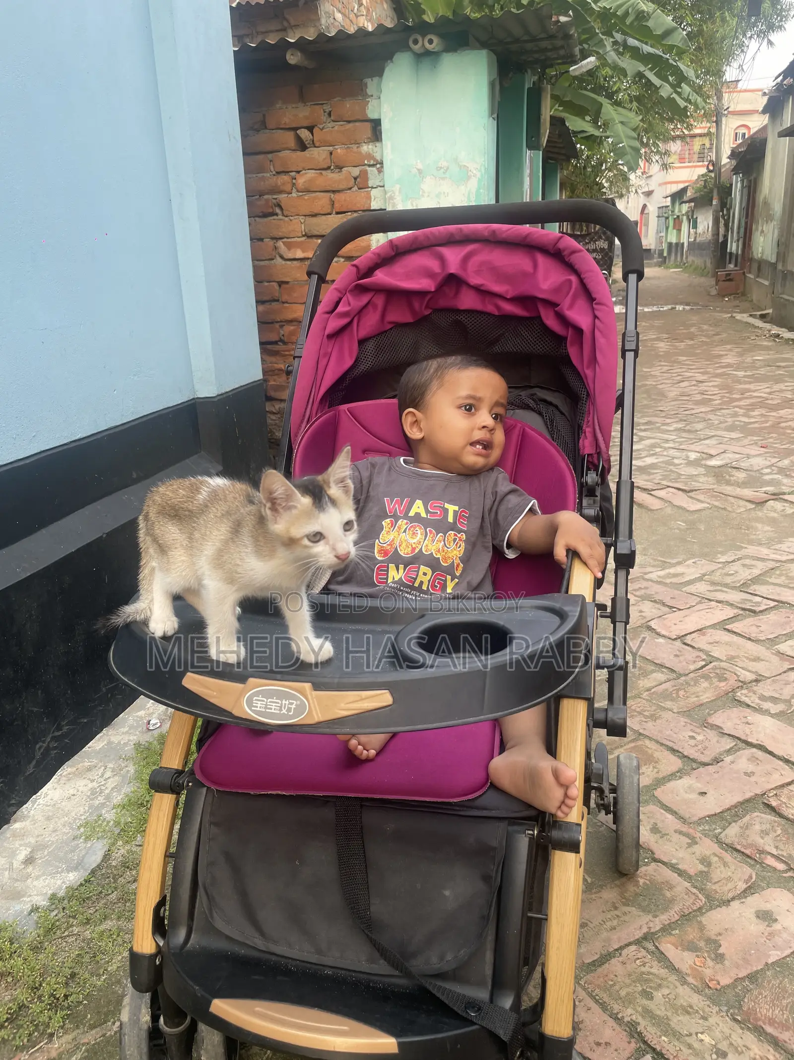 C3 Baby Stroller