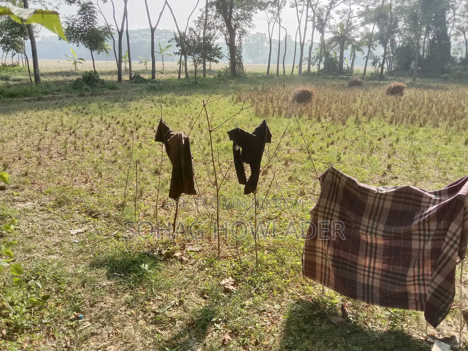 জমি বিক্রি করা হবে
