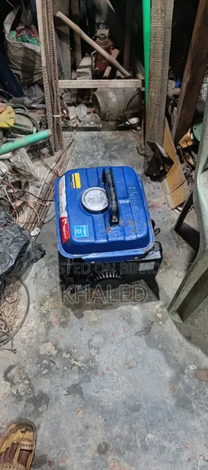 Generator. The generator will be sold