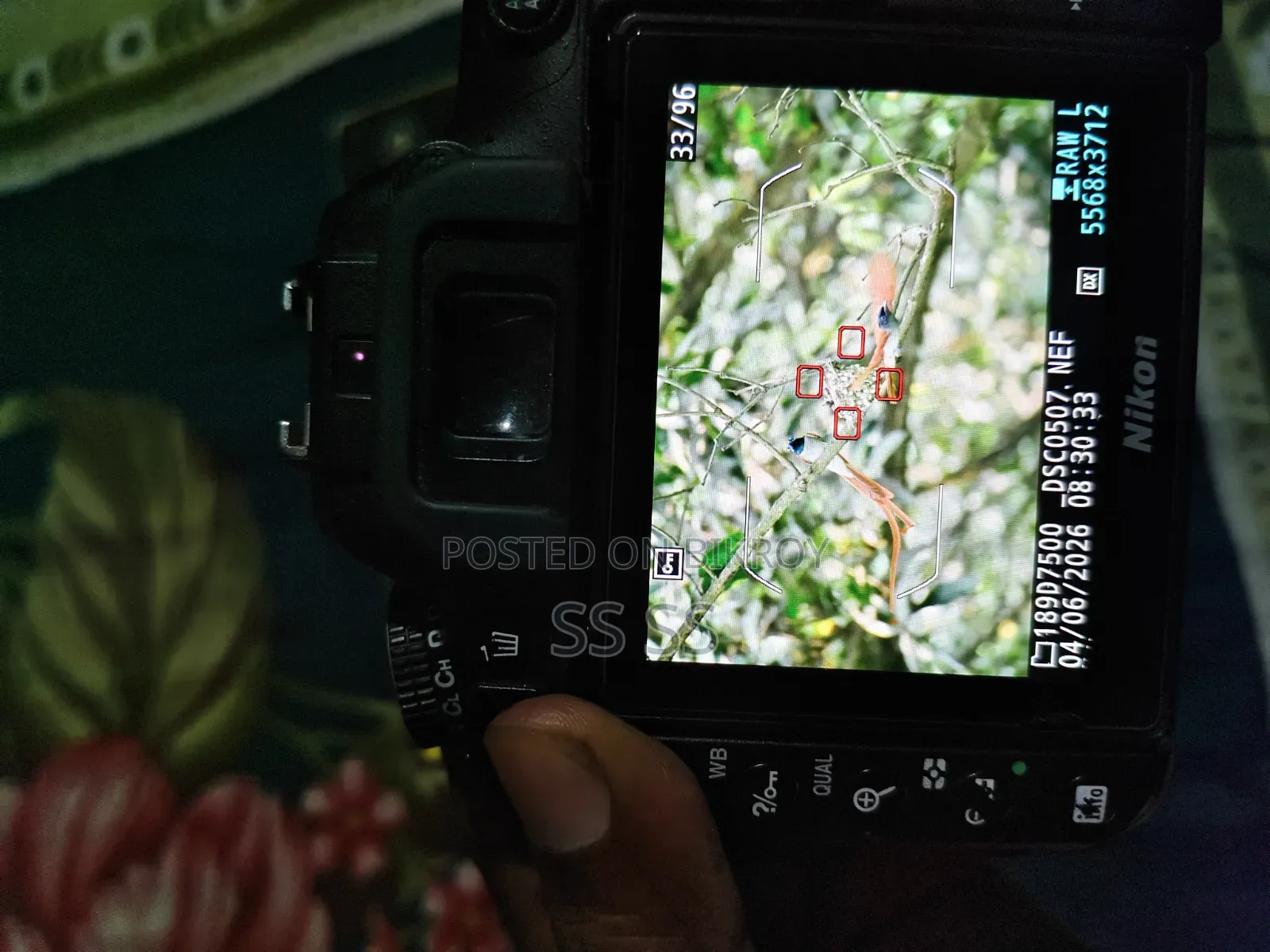 Nikon D7500 DSLR Camera Body