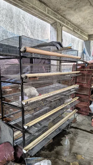 500 Capacity Quail Cage