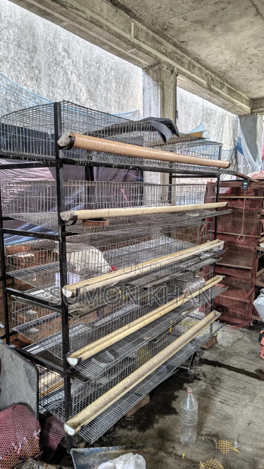 500 Capacity Quail Cage