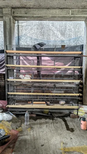 500 Capacity Quail Cage